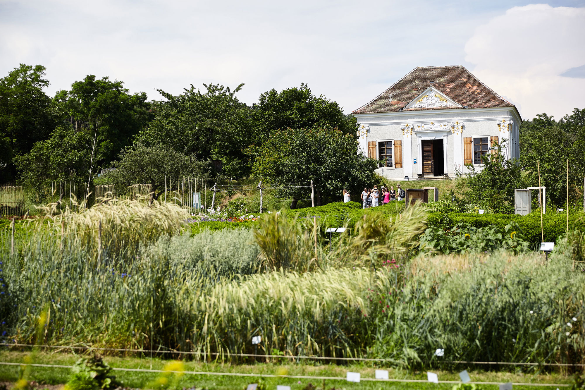 Arche Noah Schaugarten in Schiltern